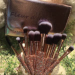 10 Piece Brush Set